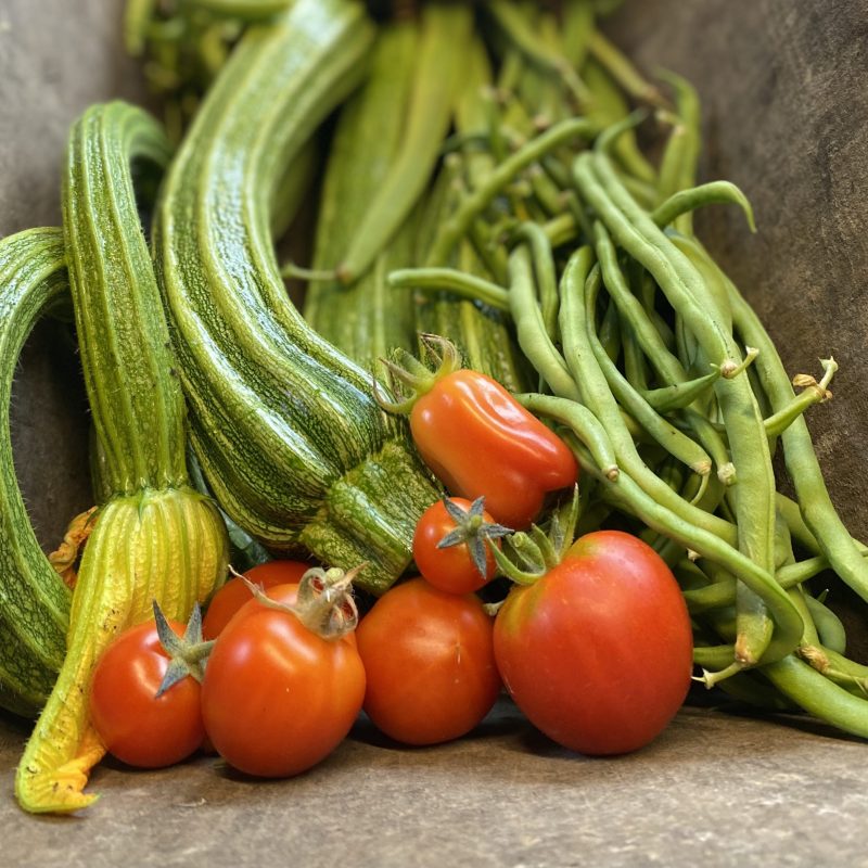 Garden produce