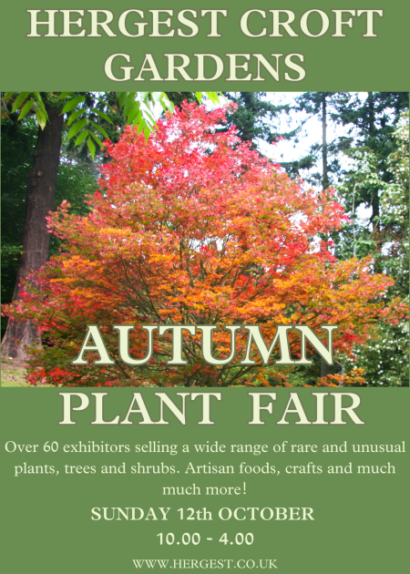 HERGEST CROFT GARDENS 14 page press ad (148 x 210 px) Autumn PF Kington Guide