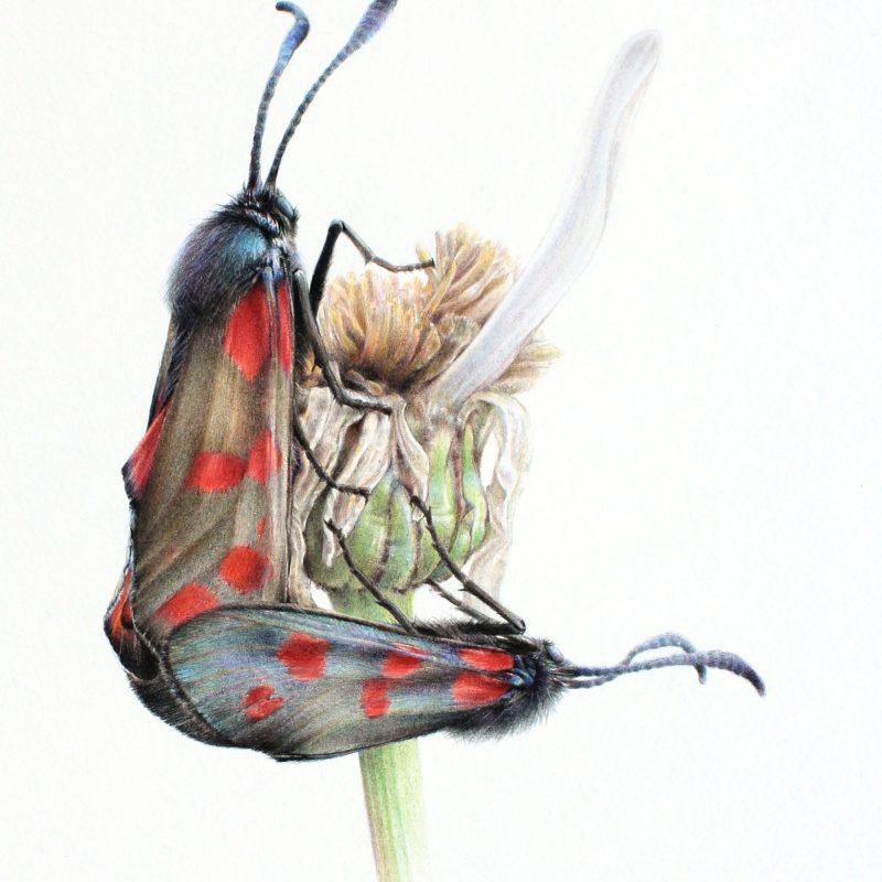 -He Loves Me- for HCG website - re-size