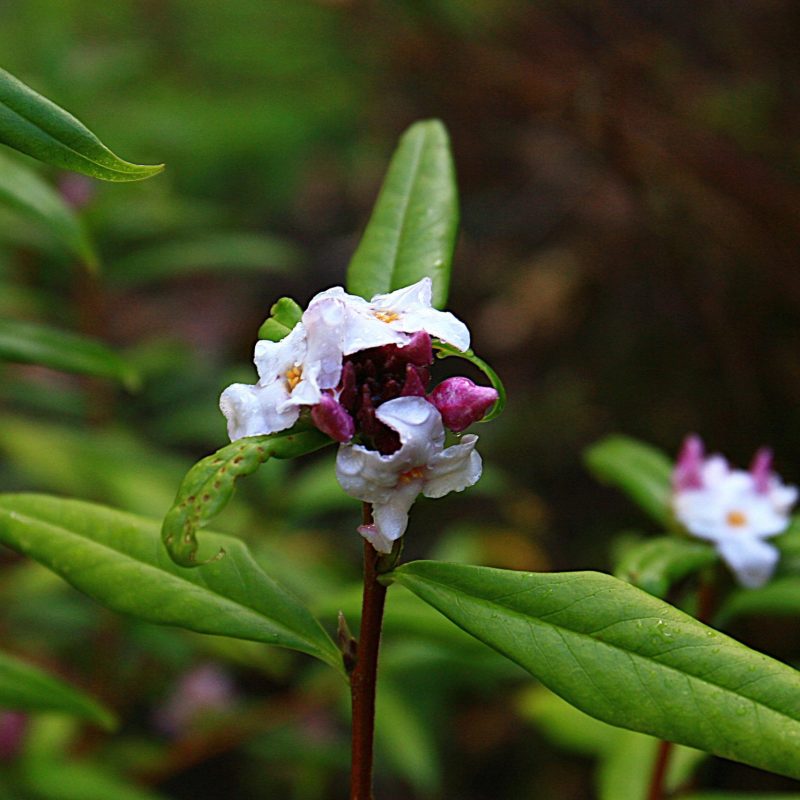 IMG_9348 copy re size