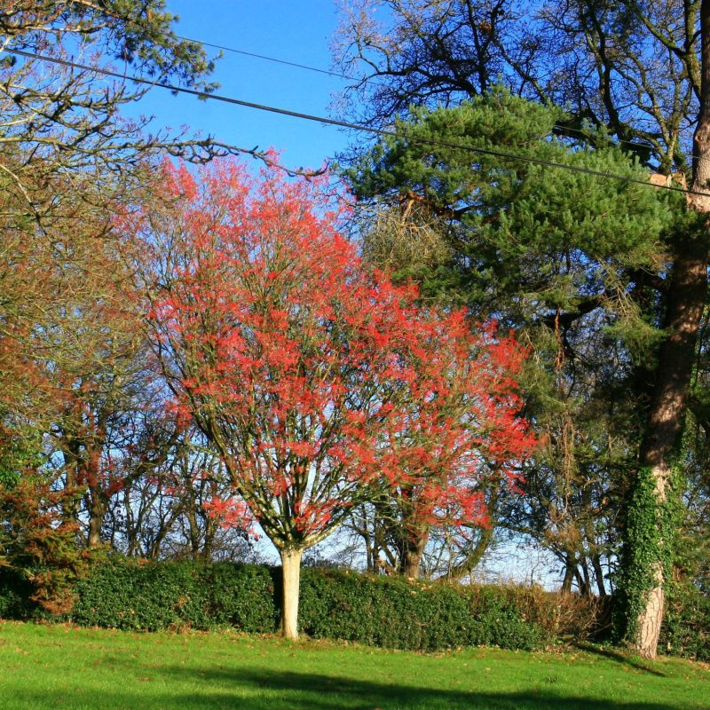 IMG_9366 copy re size