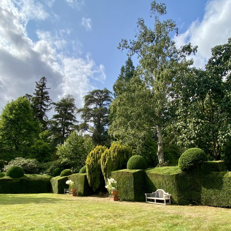 STAR Croquet Lawn with clipped hedges